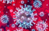 Hrvatska danas bilježi novih 151 pozitivnih na korona virus a 299 na bolničkom liječenju
