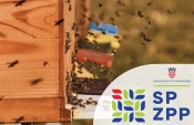 Pčelarima isplaćeno više od 3,7 milijuna eura – prva u potpunosti iskorištena omotnica iz Strateškog plana ZPP 2023-2027.