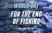 28. ožujka obilježavamo Svjetski dan za okončanje ribolova i ukidanje ribolova na svjetskoj razini