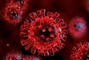 Hrvatska danas ima 857 novo zaraženih osoba korona virusom uz 31 preminulu osobu