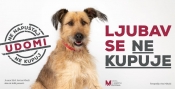 Kampanja „Ljubav se ne kupuje“ koja udomljava životinje dobila novu podršku