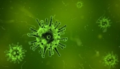 U Hrvatskoj danas nema novo zaraženih osoba korona virusom