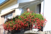 Vlasnica prve privatne cvjećarne u Požegi Ljubica Thur s 80 godina i danas okružena cvijećem