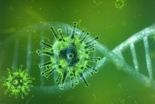 Hrvatska danas bilježi 145 novo zaraženih korona virusom a trenutno su 2.492 osobe oboljele od Covid 19