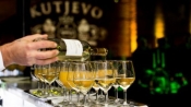 Proizvodnja vina u Kutjevu  d.d. sudjeluje s više od 40% u ukupnom prihodu poduzeća i u budućnosti temeljna orijentacija u poslovanju