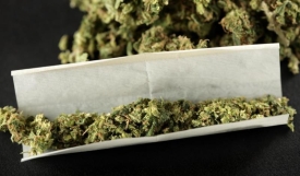 Kod 23-godišnjaka u Požegi pronašli cannabis marihuanu