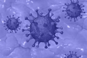 Hrvatska danas ima 1.643 novo zaraženih korona virusom uz 84 preminule osobe