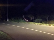 Sletio s automobilom, uletio ljudima u dvorište i zadobio teže povrede