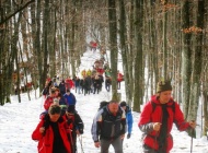 250 planinara putovima nepoznatog Papuka
