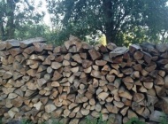 Otkriven "drvosječa" u tuđim šumama, a Požežanin predao manji arsenal oružja i municije