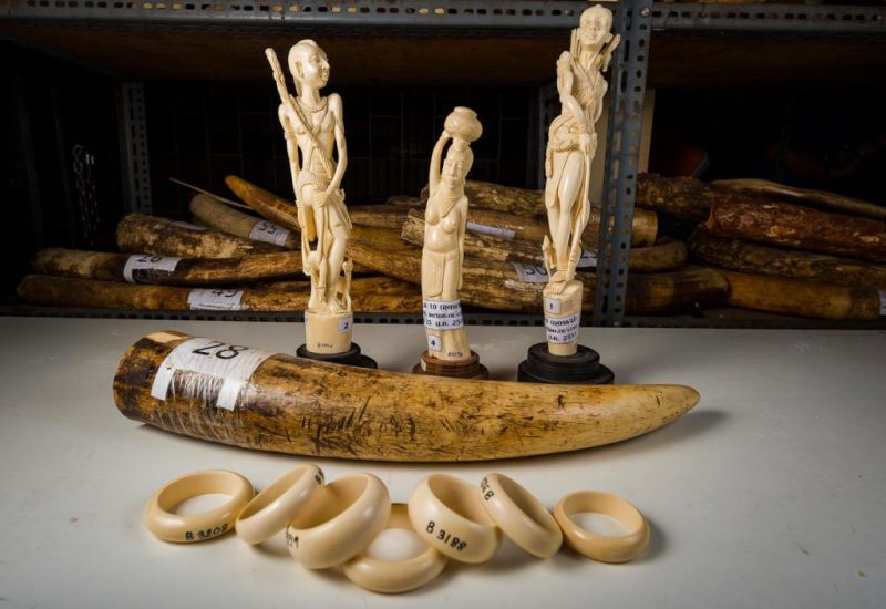 Seized ivory sculptures 1024x704