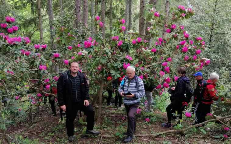 Izlet na Rupnicu i Arboretum Lisičine 16.05.2021 4