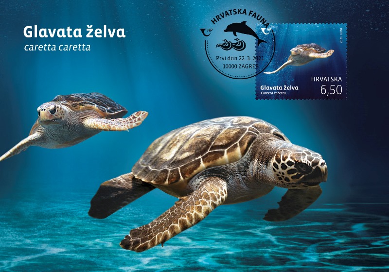 Maksimum karta Glavata želva
