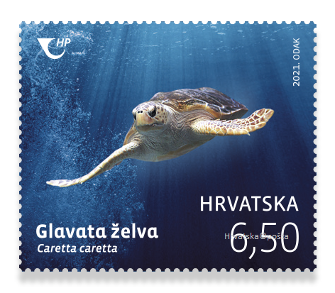 Marka Glavata želva