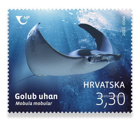 Marka Golub uhan