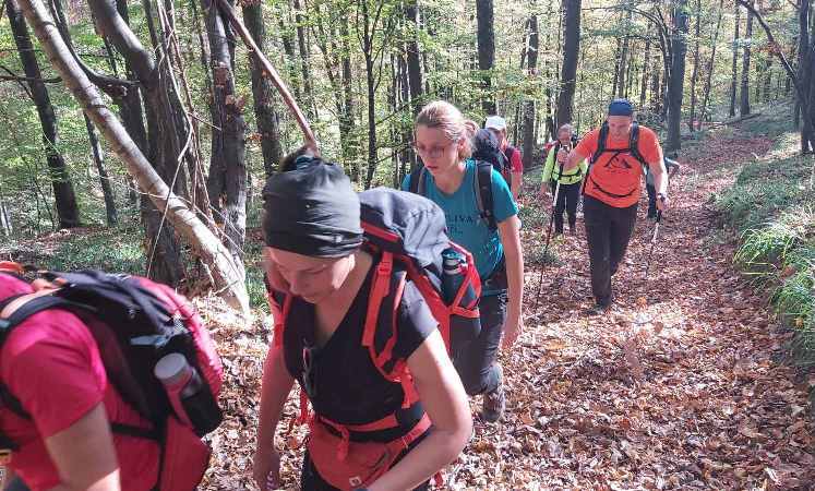 Izlet na Požešku goru Kapavac i Maksimov hrast 30.10.2022 5