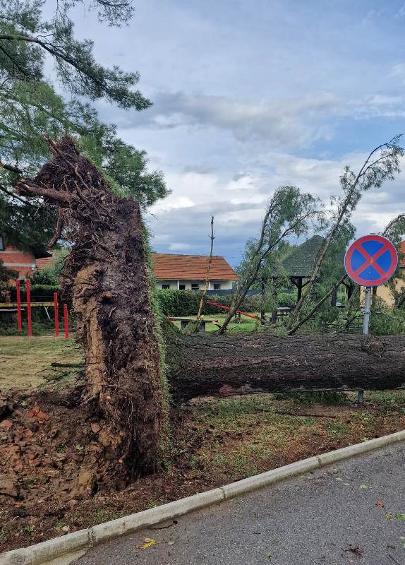 vatrogasci bjelovarsko bilogorske 2