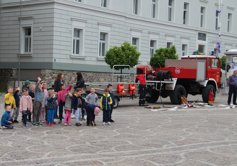 IMG 4117