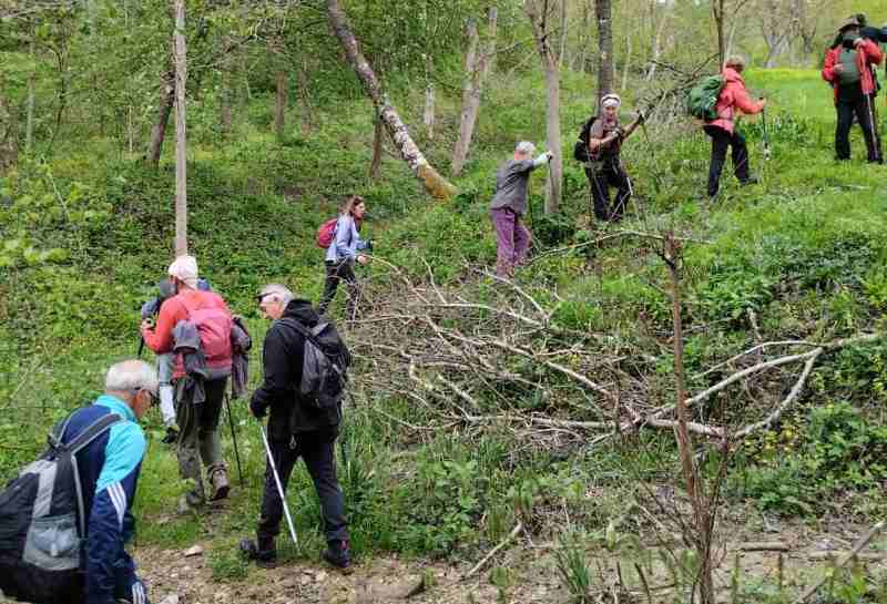 Izlet nepoznata Požeška gora 30.04.2023 Sekcija Kapavac Zakorenje 12