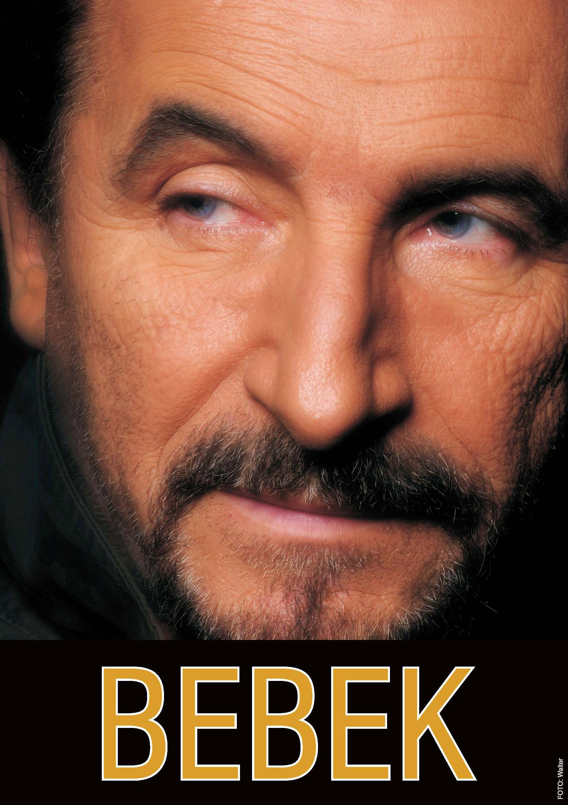 BebekPlakat 715x915
