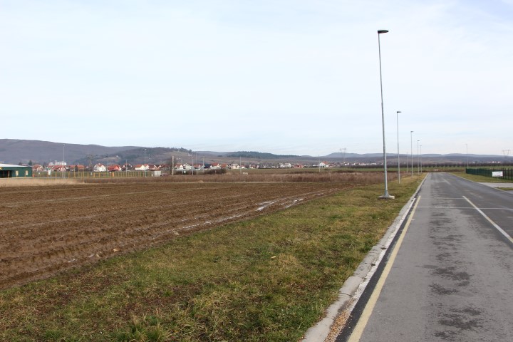 IMG 9842