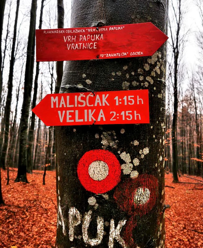 Vrh Papuka