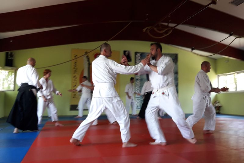 aikido s