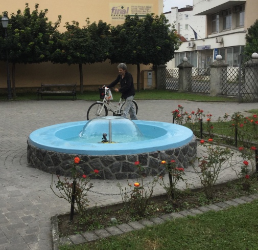 IMG 0761