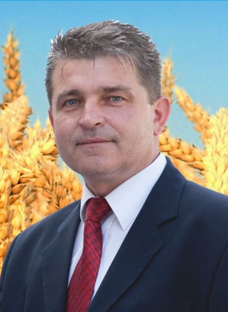 nikolic