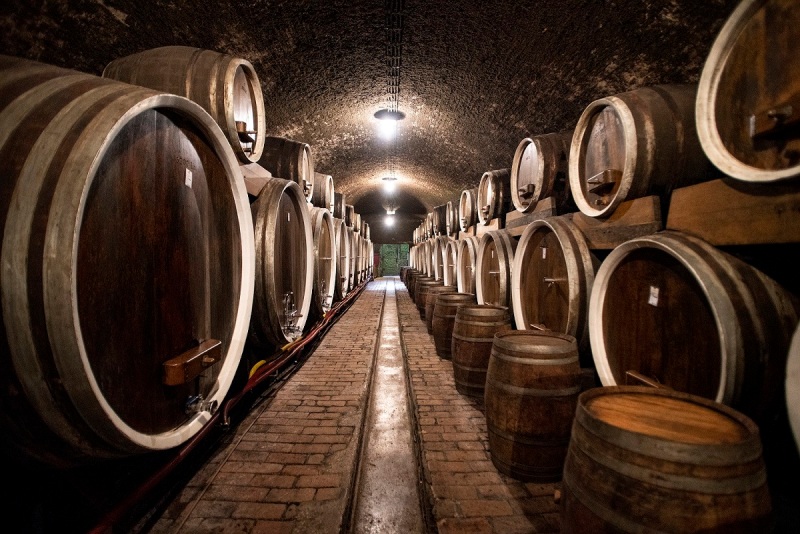 08 Druga nagrada Domagoj Sever Ilocki podrumi