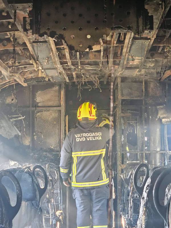 649013677 918761404291545 4214708091484744879 n