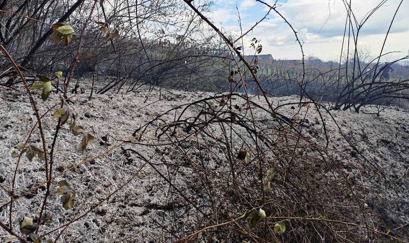 649804048 1340946871413028 8151476571805416133 n