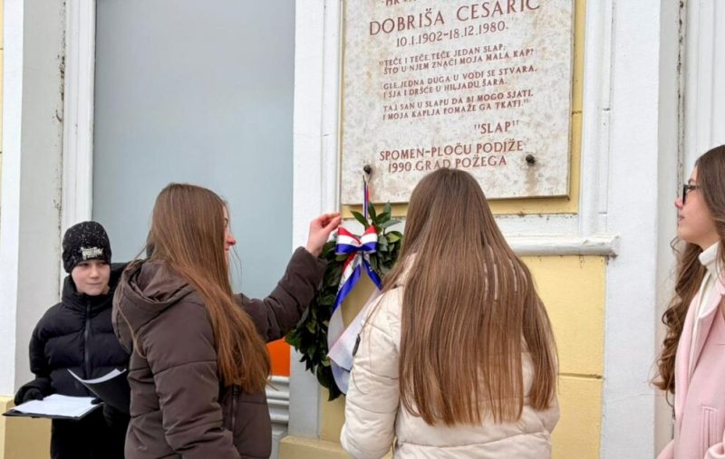 Cesaric u Cesaricu 2026 10 1024x768