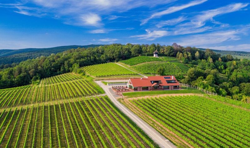 Unutar teksta 1 1 1024x767