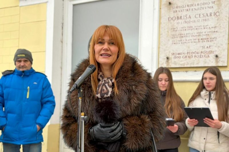 WhatsApp Image 2026 01 09 at 11.40.21 AM 4 1024x744