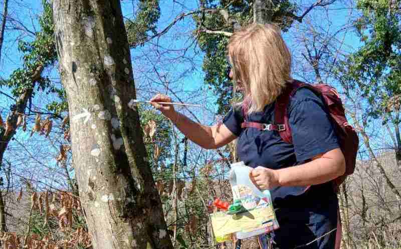 viber slika 2026 03 07 17 43 49 970