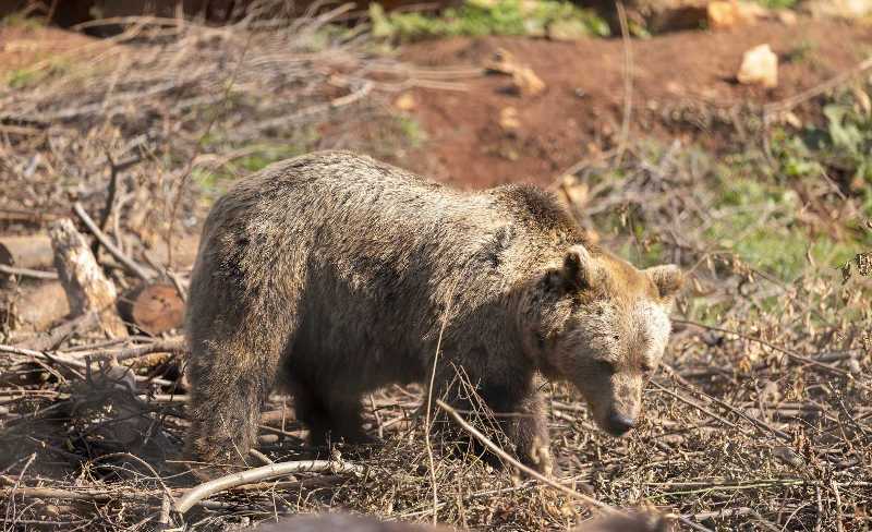 0 02 05 2a092e2a78f33b067838c020c4086898c633a85f098dc0a53fc540551aa8511c e9fb93af39199d4d