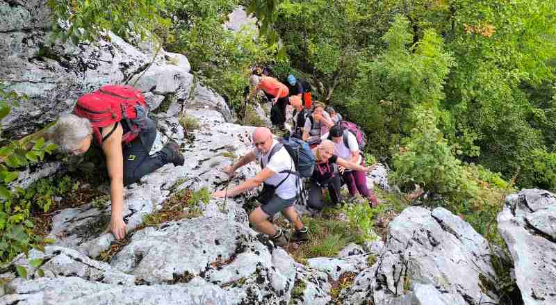 0 02 05 711efd4ef32e03a6bbc7ea693761430295cba80902ef3b636a1a0b04b5b5fd0b a1d3ebb926e49b23