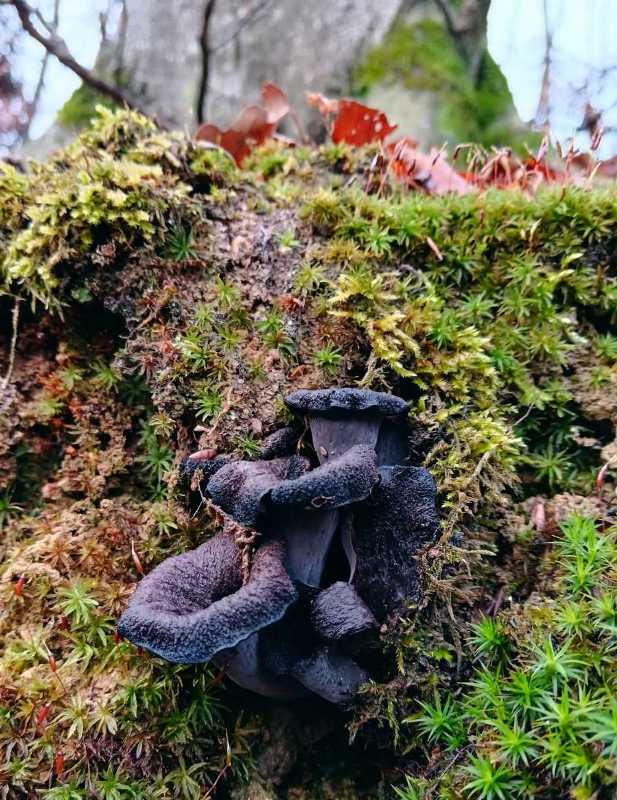 0 02 05 806a3c142b6cd5e2bbf0b47dc0e2906153fec661ad4364fca743af2180041ad7 32e41a538da6e3ad