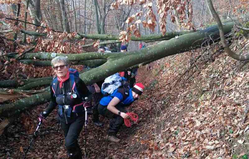 0 02 05 f19408c6c21ac22ac04c31400e294be7cdfcbdb0cb54c8dfadc7856c1a05fb0f 5aacaad8560160c2