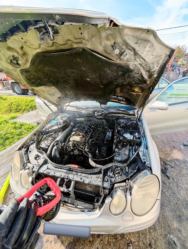 576287824 1264489485711589 5397708291569467806 n