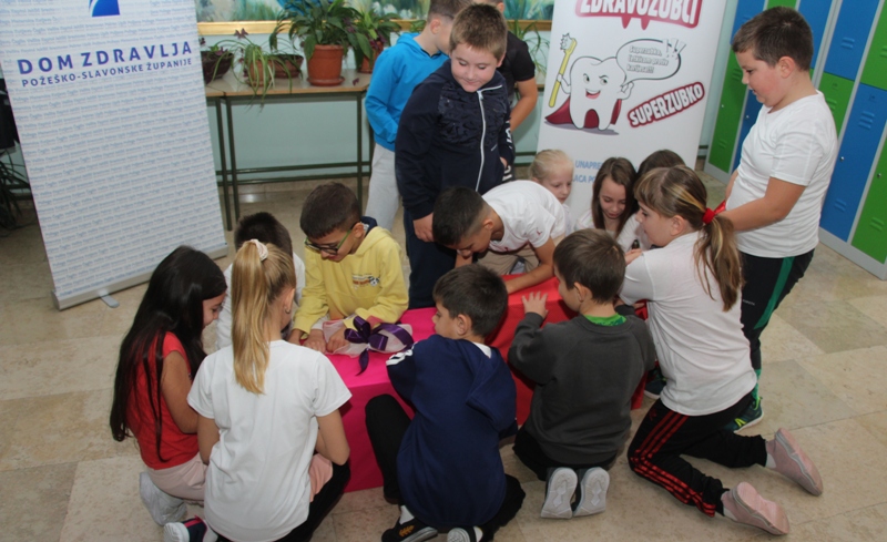 IMG 4834