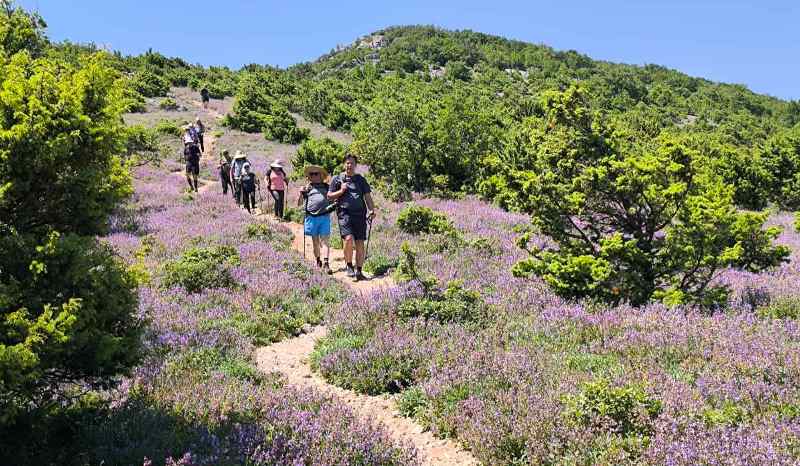 viber slika 2025 06 05 09 16 09 672