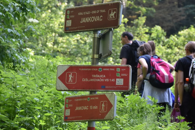 jankovac4