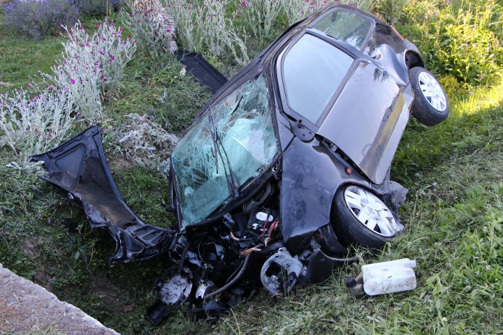 IMG 0651 Copy