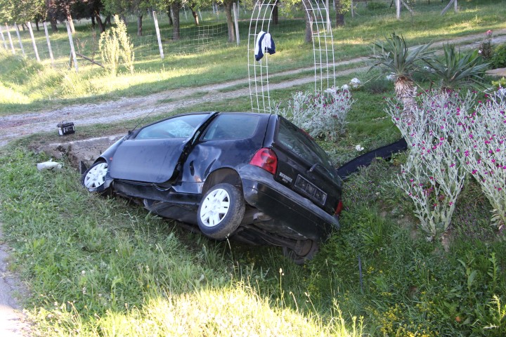 IMG 0658 Copy