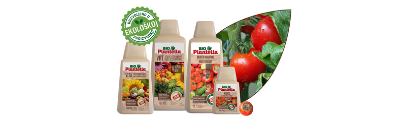BPL paradizniki
