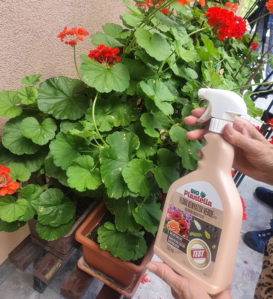 Bio Plantella Flora Kenyatox verde protiv ušiju na cvijeću