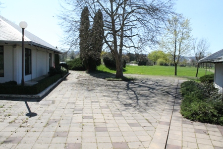 IMG 0289