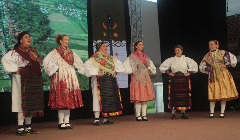 14. Smotra folklora "Šokačko se kolo vije" u domaćinstvu KUD-a "Ivo Čakalić" iz Kaptola
